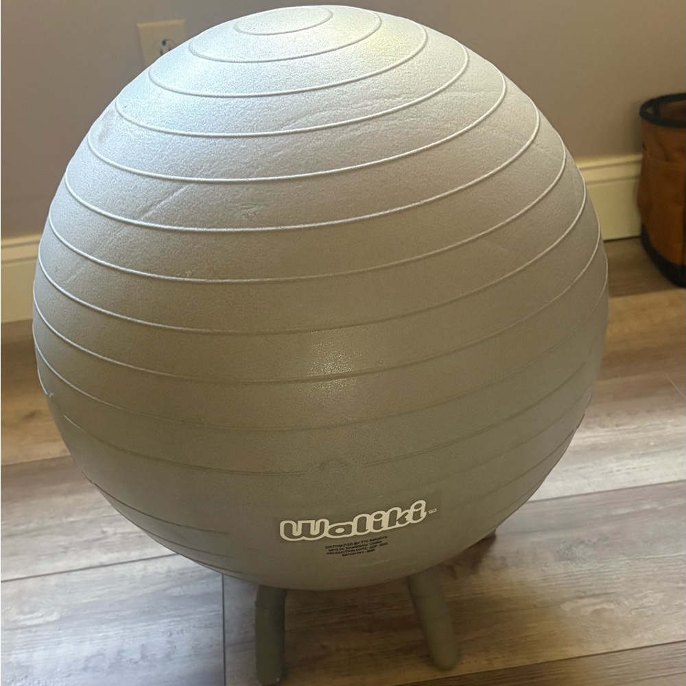 Silver Balance Ball Chair